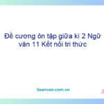 Đề cương ôn tập giữa kì 2 Ngữ văn 11 Kết nối tri thức