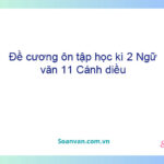 Đề cương ôn tập học kì 2 Ngữ văn 11 Cánh diều