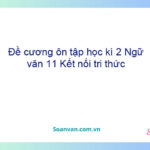 Đề cương ôn tập học kì 2 Ngữ văn 11 Kết nối tri thức