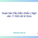 Soạn bài Cầu hiền chiếu | Ngữ văn 11 Kết nối tri thức