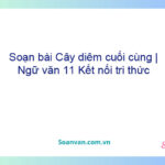 Soạn bài Cây diêm cuối cùng | Ngữ văn 11 Kết nối tri thức