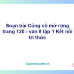 Soạn bài Củng cố, mở rộng lớp 8 trang 120 Tập 1 | Kết nối tri thức Ngữ văn 8