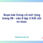 Soạn bài Củng cố, mở rộng lớp 8 trang 56 Tập 2 | Kết nối tri thức Ngữ văn 8