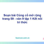 Soạn bài Củng cố, mở rộng lớp 9 trang 59 Tập 1 | Kết nối tri thức Ngữ văn 9