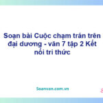 Soạn bài Cuộc chạm trán trên đại dương | Kết nối tri thức Ngữ văn 7