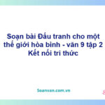 Soạn bài Đấu tranh cho một thế giới hòa bình | Chân trời sáng tạo Ngữ văn 9