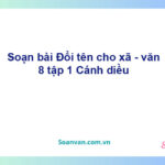 Soạn bài Đổi tên cho xã | Cánh diều Ngữ văn 8