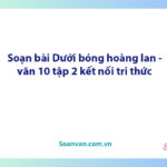 Soạn bài Dưới bóng hoàng lan | Ngữ văn 10 Kết nối tri thức