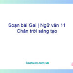 Soạn bài Gai | Ngữ văn 11 Chân trời sáng tạo