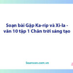 Soạn bài Gặp Ka-ríp và Xi-la