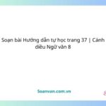 soạn bài hướng dẫn tự học trang 37 cánh diều ngữ văn 8