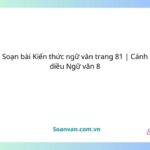 soạn bài kiến thức ngữ văn trang 81 cánh diều ngữ văn 8