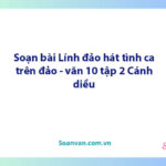 Soạn bài Lính đảo hát tình ca trên đảo | Ngữ văn 10 Cánh diều