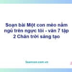 Soạn bài Một con mèo nằm ngủ trên ngực tôi | Chân trời sáng tạo Ngữ văn 7