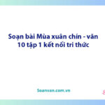 Soạn bài Mùa xuân chín | Ngữ văn 10 Kết nối tri thức