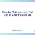 Soạn bài Muối của rừng | Ngữ văn 11 Chân trời sáng tạo