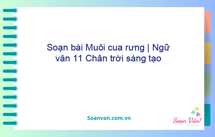 Soạn bài Muối của rừng | Ngữ văn 11 Chân trời sáng tạo