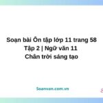 soạn bài Ôn tập lớp 11 trang 58 tập 2 ngữ văn 11 chân trời sáng tạo