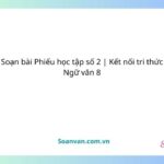 soạn bài phiếu học tập số 2 kết nối tri thức ngữ văn 8