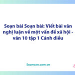 Soạn bài Viết bài văn nghị luận về một vấn đề xã hội | Ngữ văn 10 Cánh diều