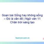 Soạn bài Sống, hay không sống – đó là vấn đề | Ngữ văn 11 Kết nối tri thức