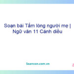 Soạn bài Tấm lòng người mẹ | Ngữ văn 11 Cánh diều