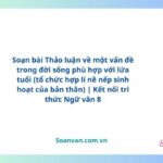 soạn bài thảo luận về một vấn đề trong đời sống phù hợp với lứa tuổi (tổ chức hợp lí nề nếp sinh hoạt của bản thân