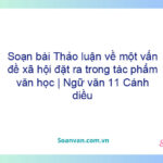 Soạn bài Thảo luận về một vấn đề xã hội đặt ra trong tác phẩm văn học | Ngữ văn 11 Cánh diều