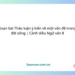 soạn bài thảo luận ý kiến về một vấn đề trong đời sống cánh diều ngữ văn 8