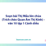 Soạn bài Thị Mầu lên chùa | Ngữ văn 10 Cánh diều