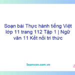 Soạn bài Thực hành tiếng Việt lớp 11 trang 112 Tập 1 | Ngữ văn 11 Kết nối tri thức