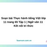 soạn bài thực hành tiếng việt lớp 11 trang 65 tập 1 ngữ văn 11 kết nối tri thức