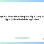 soạn bài thực hành tiếng việt lớp 9 trang 130 tập 1 kết nối tri thức ngữ văn 9