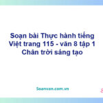 Soạn bài Thực hành tiếng Việt lớp 8 trang 115 tập 1 | Chân trời sáng tạo Ngữ văn 8