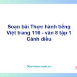 Soạn bài Thực hành tiếng Việt lớp 8 trang 116 Tập 1 | Cánh diều Ngữ văn 8