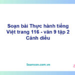 Soạn bài Thực hành tiếng Việt lớp 9 trang 116 Tập 2 | Cánh diều Ngữ văn 9