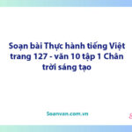 Soạn bài Thực hành tiếng Việt lớp 10 trang 127 Tập 1 | Ngữ văn 10 Chân trời sáng tạo