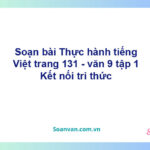 Soạn bài Ôn tập kiến thức lớp 9 trang 131 Tập 2 | Kết nối tri thức Ngữ văn 9