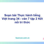 Soạn bài Thực hành tiếng Việt lớp 7 trang 34 Tập 2 | Kết nối tri thức Ngữ văn 7