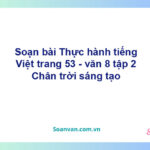 Soạn bài Thực hành tiếng Việt lớp 8 trang 53 tập 2 | Chân trời sáng tạo Ngữ văn 8