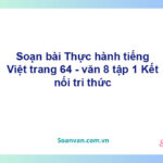 Soạn bài Thực hành tiếng Việt lớp 8 trang 64 Tập 1 | Kết nối tri thức Ngữ văn 8