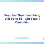 Soạn bài Thực hành tiếng Việt lớp 9 trang 66 Tập 1 | Cánh diều Ngữ văn 9