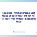 Soạn bài Thực hành Tiếng Việt lớp 10 trang 86 Tập 1 | Ngữ văn 10 Kết nối tri thức