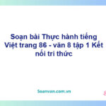 Soạn bài Thực hành tiếng Việt lớp 8 trang 86 Tập 1 | Kết nối tri thức Ngữ văn 8