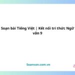 soạn bài tiếng việt kết nối tri thức ngữ văn 9