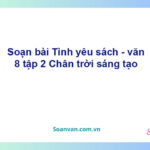 Soạn bài Tình yêu sách | Chân trời sáng tạo Ngữ văn 8