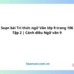 soạn bài tri thức ngữ văn lớp 9 trang 106 tập 2 cánh diều ngữ văn 9