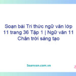 Soạn bài Tri thức ngữ văn lớp 11 trang 36 Tập 1 | Ngữ văn 11 Chân trời sáng tạo