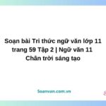 soạn bài tri thức ngữ văn lớp 11 trang 59 tập 2 ngữ văn 11 chân trời sáng tạo