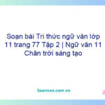 Soạn bài Tri thức ngữ văn lớp 11 trang 77 Tập 2 | Ngữ văn 11 Chân trời sáng tạo